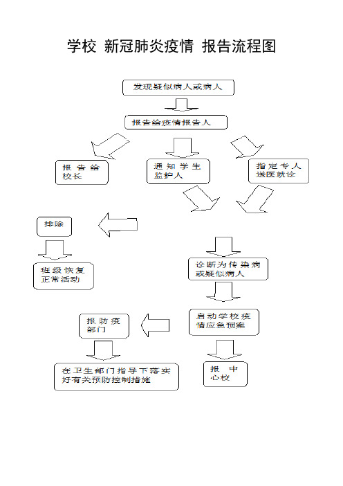 学校新冠肺炎疫情报告流程图