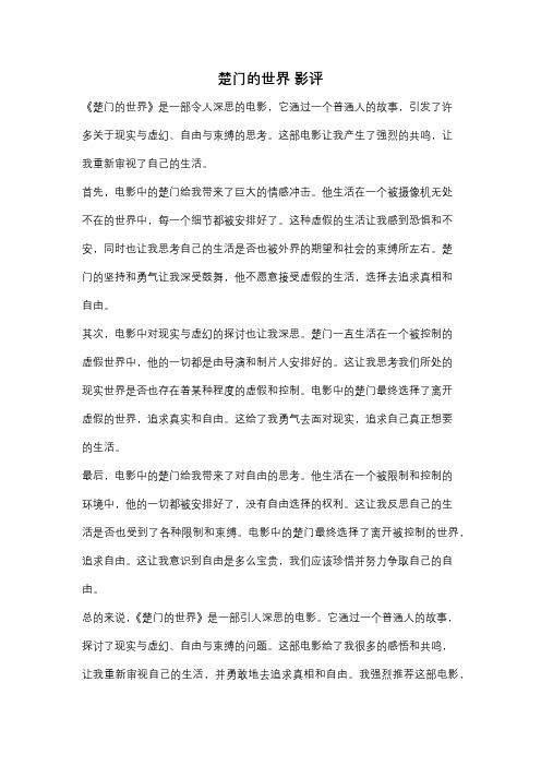 楚门的世界 影评