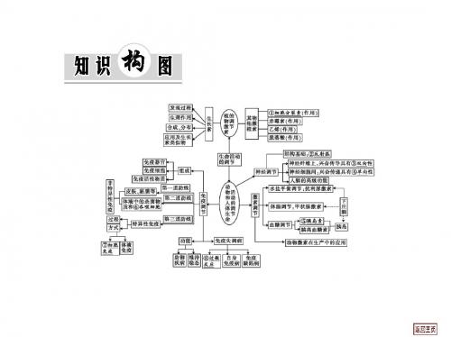 “实验设计”与“实验评价、方案修订”