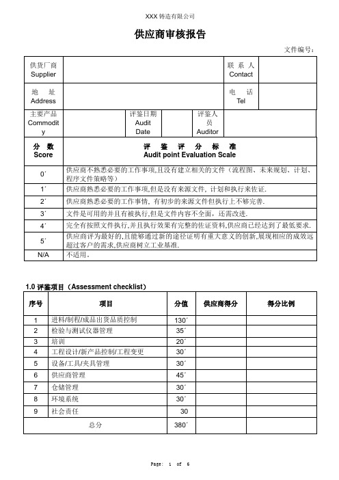 供应商审核报告