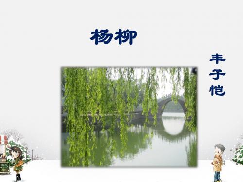 《杨柳》课件2-优质公开课-湘教六下精品