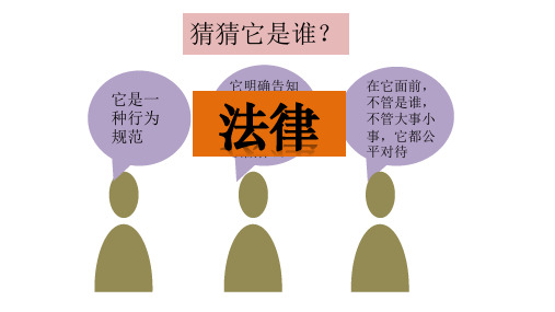部编版《道德与法治》法不可违ppt课件2
