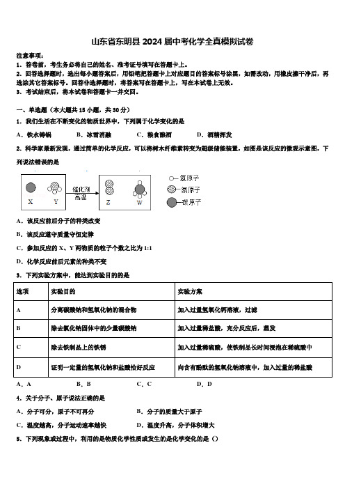 山东省东明县2024届中考化学全真模拟试卷含解析