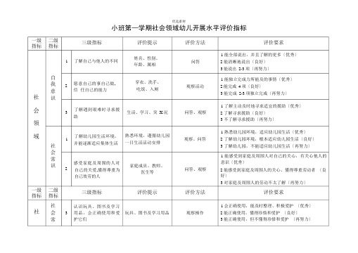 幼儿园社会领域幼儿发展水平评价