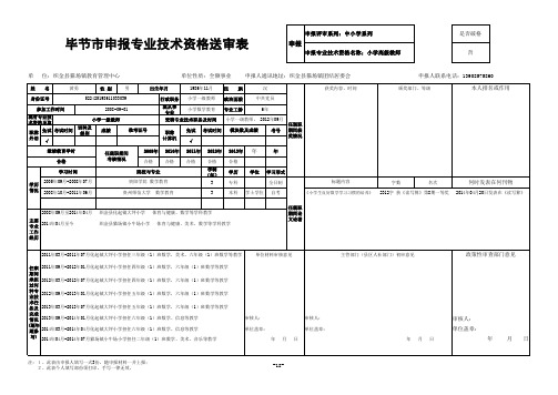 2毕节市申报专业技术资格送审表