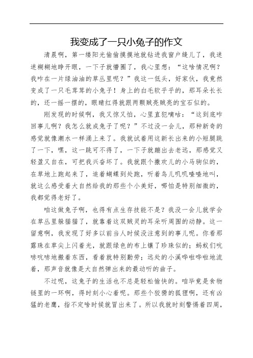 我变成了一只小兔子的作文300作文