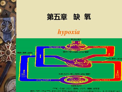 病理生理学 第5章 缺氧