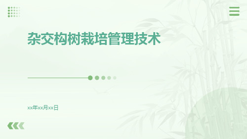 杂交构树栽培管理技术