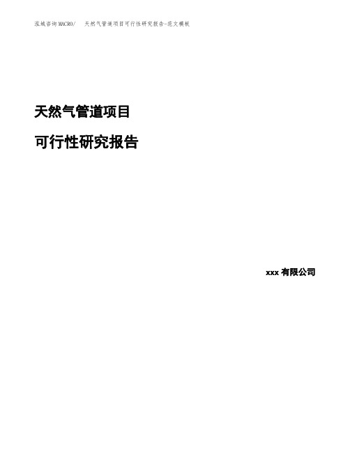 天然气管道项目可行性研究报告-范文模板