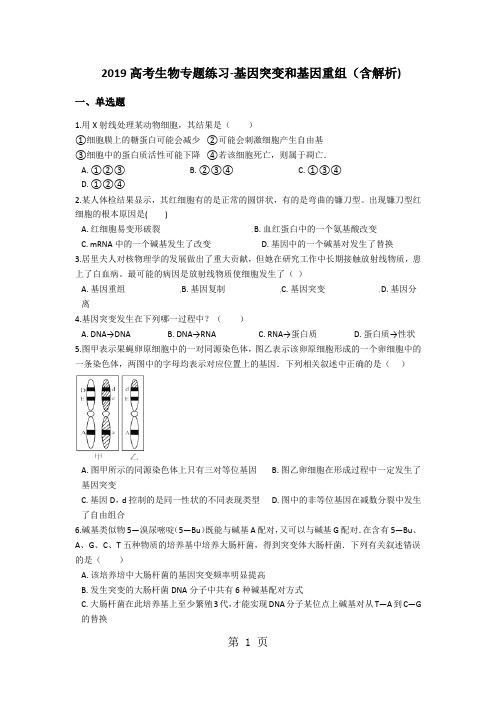 高考生物专题练习基因突变和基因重组(含解析)-最新学习文档