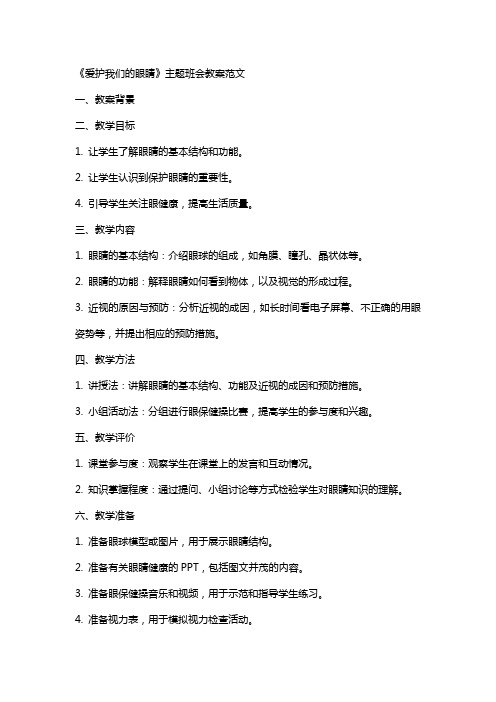 《爱护我们的眼睛》主题班会教案范文