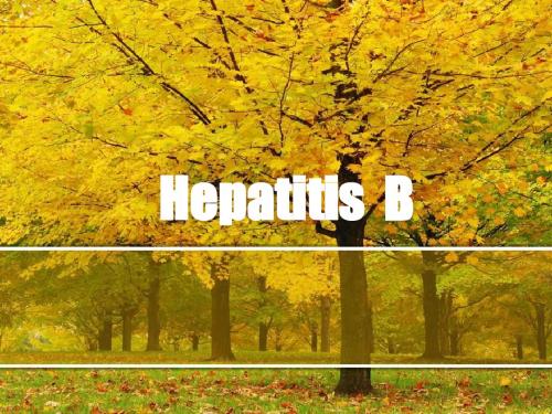 Hepatitis  B