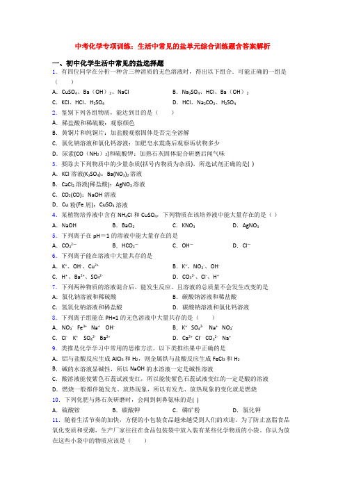 中考化学专项训练：生活中常见的盐单元综合训练题含答案解析