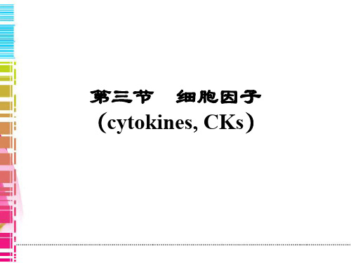 细胞因子cytokinescks