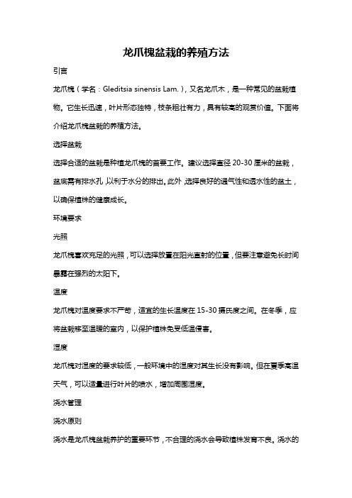 龙爪槐盆栽的养殖方法