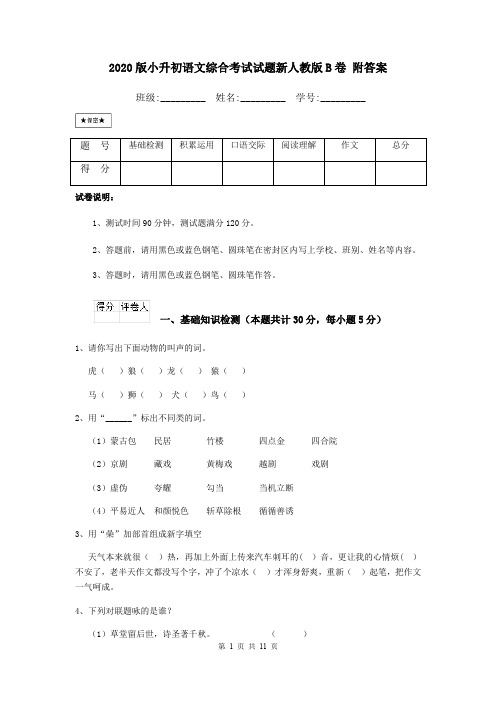 2020版小升初语文综合考试试题新人教版B卷 附答案