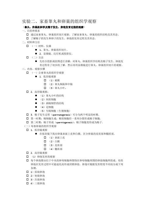 实验二、家畜睾丸和卵巢的组织学观察