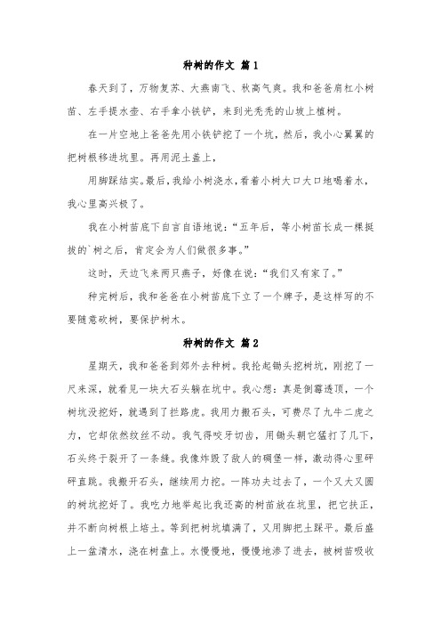 劳动的滋味种树作文