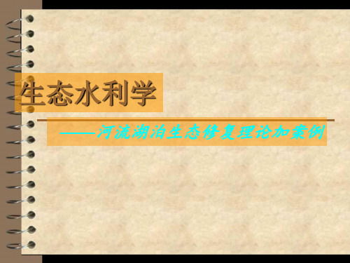 生态水利河流湖泊生态治理理论及案例