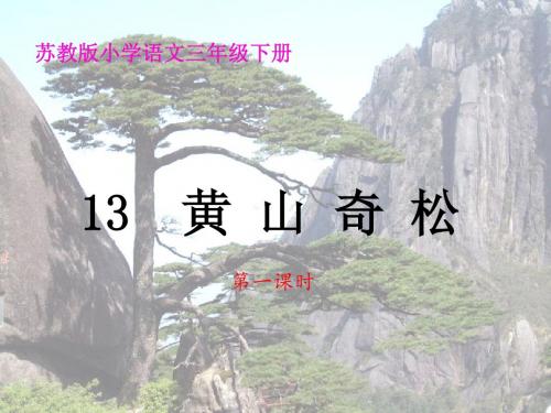 13.黄山奇松第一课时课件