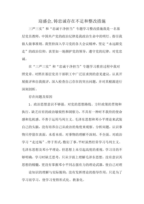 迎盛会,铸忠诚存在不足和整改措施