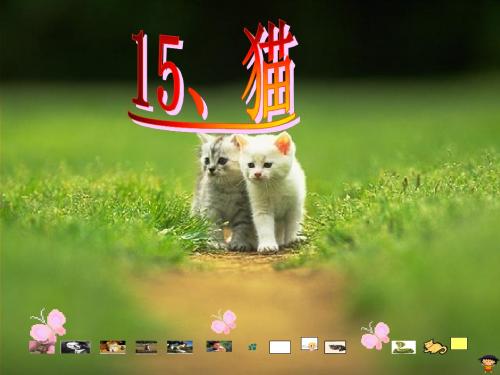 人教版四年级上册语文15《猫》ppt