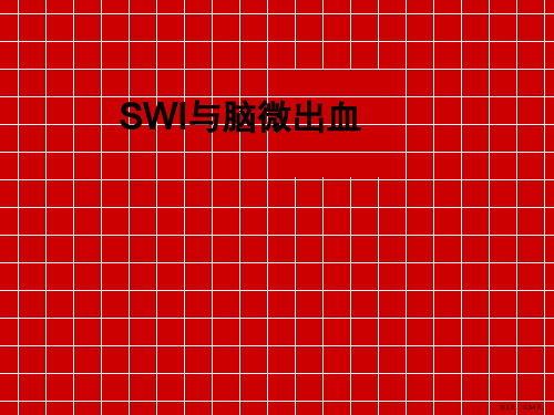 SWI与脑微出血[1]