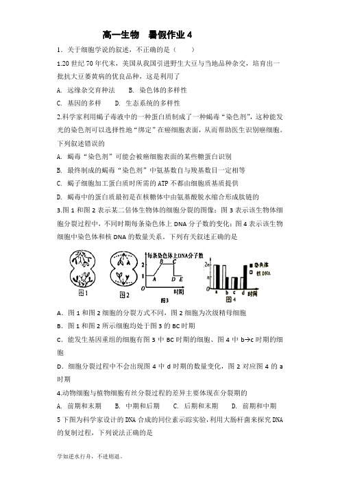 高一生物暑假作业4