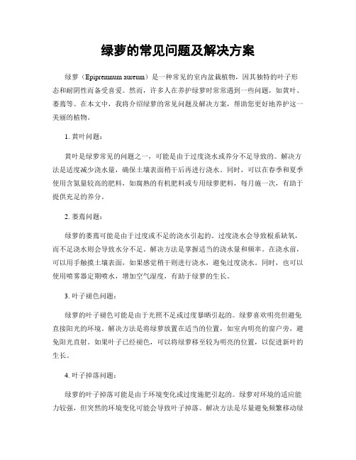 绿萝的常见问题及解决方案