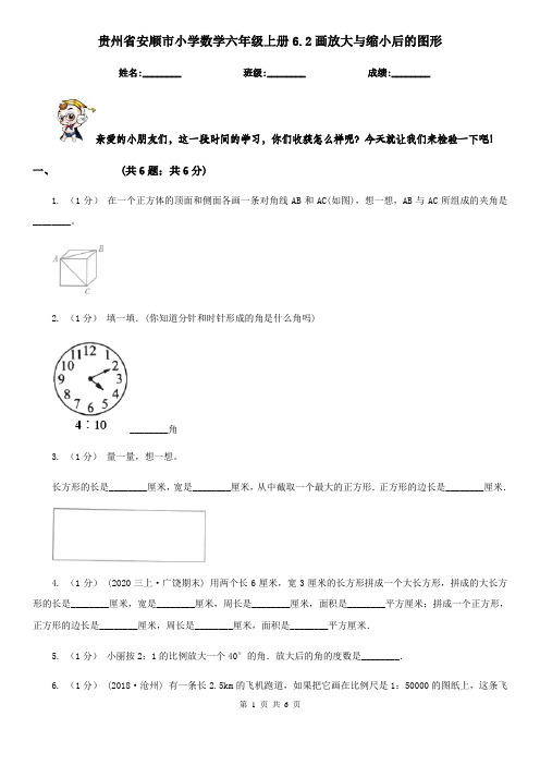 贵州省安顺市小学数学六年级上册6.2画放大与缩小后的图形