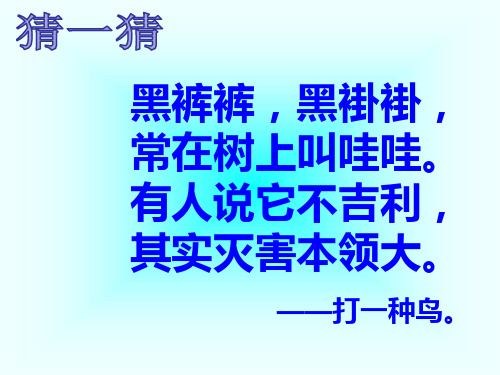 人教部编版一年级上册语文《乌鸦喝水》(共26张PPT)