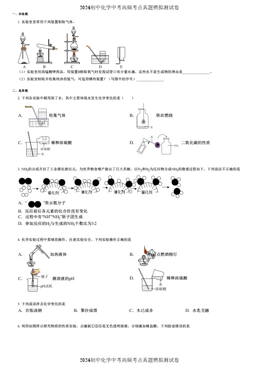 2024初中化学中考高频考点真题模拟测试卷 (2132)