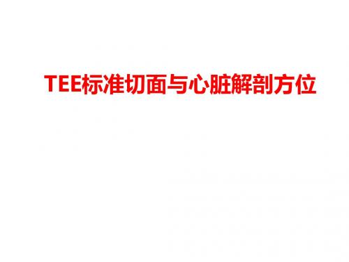 tee标准切面与心脏解剖方位 ppt课件