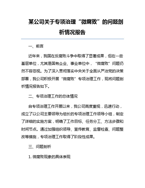 某公司关于专项治理“微腐败”的问题剖析情况报告