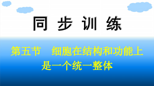 浙科版高中生物学必修1精品课件 第2章  细胞的结构 第5节 细胞在结构和功能上是一个统一整体