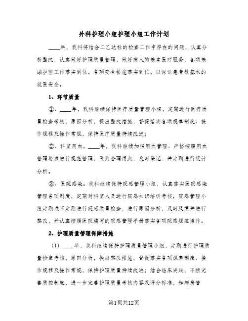 2023年外科护理小组护理小组工作计划(三篇)