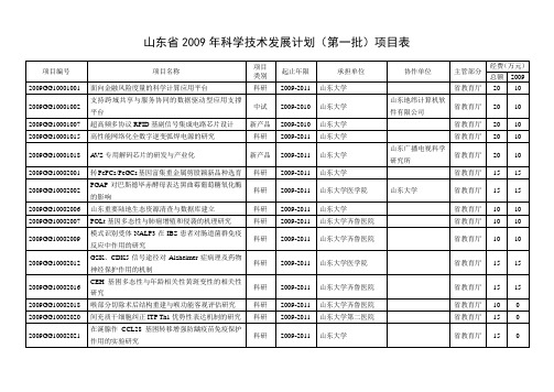 山东省2009年科学技术发展计划第一批项目表 精品