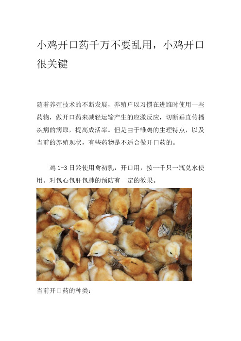 小鸡开口药千万不要乱用,小鸡开口很关键