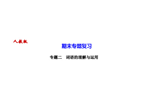 2019年九年级人教版语文上册课件:专题二 词语的理解与运用 (共16页)