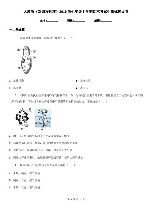 人教版(新课程标准)2019版七年级上学期期末考试生物试题A卷精编