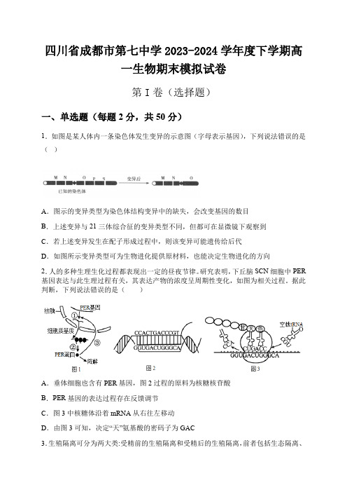 四川省成都市第七中学2023-2024学年高一下学期期末模拟生物试卷