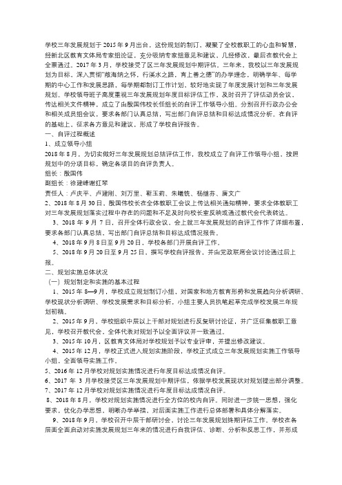 三年发展规划总结性评估自评报告