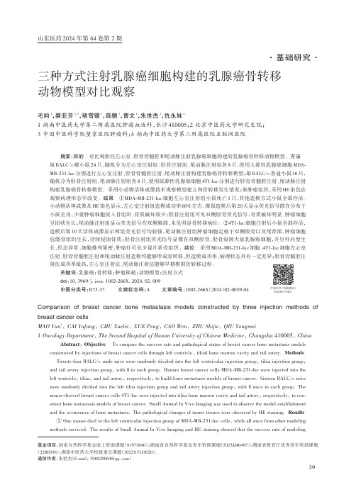 三种方式注射乳腺癌细胞构建的乳腺癌骨转移动物模型对比观察