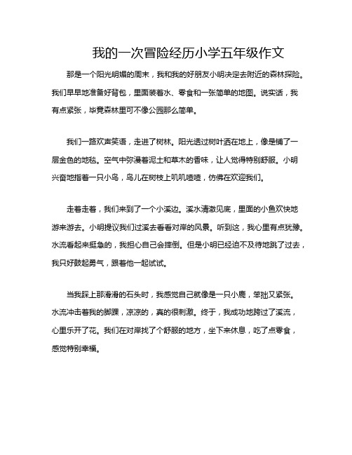 我的一次冒险经历小学五年级作文