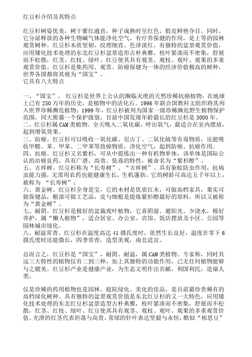 红豆杉介绍及其特点