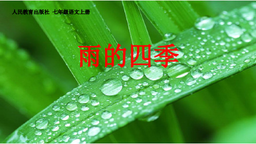 部编优质课一等奖初中语文七年级上册《雨的四季》