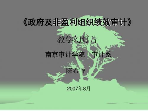 经济效益审计之公共组织绩效审计.ppt