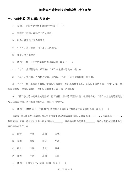 河北省小升初语文冲刺试卷(十)B卷