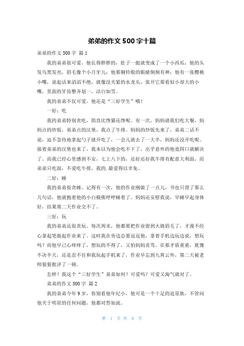 弟弟的作文500字十篇