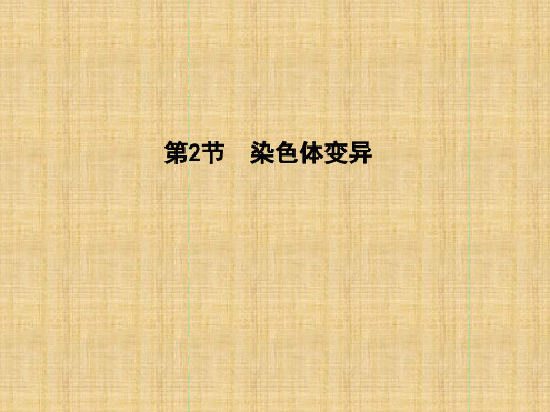 高中生物第5章第2节基因突变及其他变异染色体变异名师课件新人教版必修2